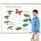 Learning Resources Giant Magnetic Butterfly Life Cycle, Set of 9 Figurines LER6043 - alternate 4
